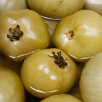 Sour Tomatoes | PICKLE CULTURE